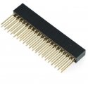 Lizdo jungties juosta 2x20 rastras 2.54mm, skirtas Raspberry Pi 4B/3B+/3B/3 - ilgi kaiščiai 10mm Lizdo jungties juosta 2x20 rastras 2.54mm, skirtas Raspberry Pi 4B/3B+/3B/3 - ilgi kaiščiai 10mm