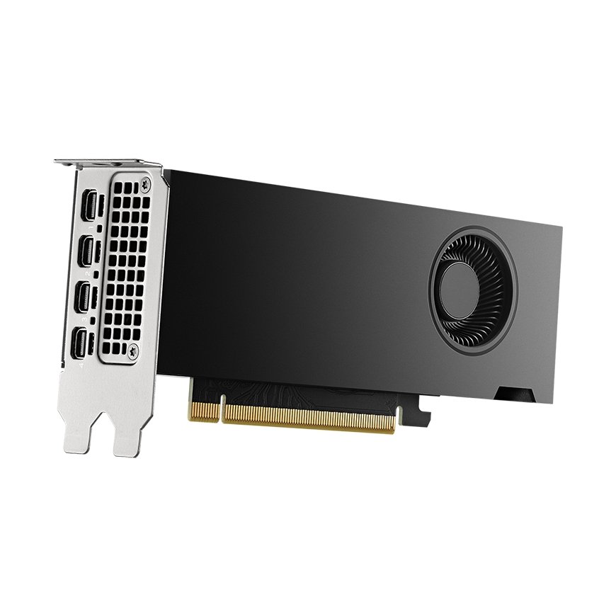 PNY VCNRTX2000ADA-PL graphics card NVIDIA RTX 2000 Ada 16 GB GDDR6