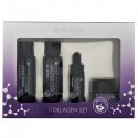Kollageeni komplekt. Kollageeni komplekt.