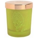 Etro Dafne scented candle 170 g Etro Dafne scented candle 170 g