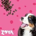 Zoya coldpro jautiena sausas maistas šuniui 1kg Zoya coldpro jautiena sausas maistas šuniui 1kg