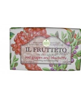 Nesti Dante Il Frutetto seep Punased viinamarjad ja mustikad 250 g