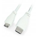 Avenes MiniHDMI - HDMI 1m Balts Avenes MiniHDMI - HDMI 1m Balts