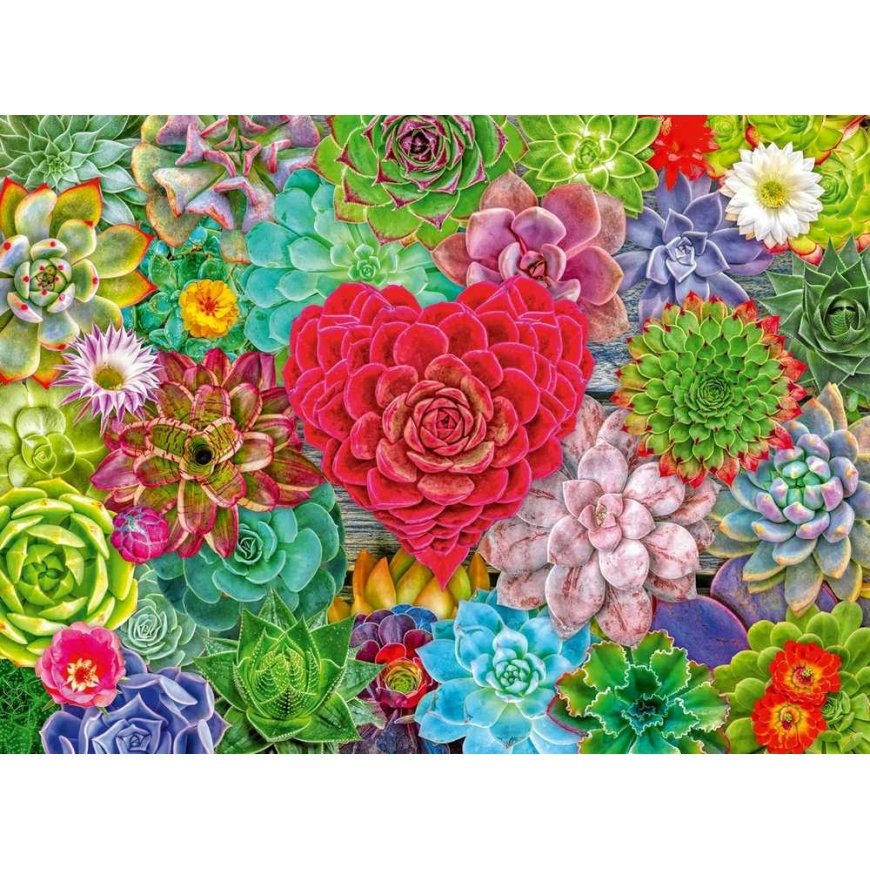 Ravensburger Puzzle - Succulent Love - 500p (12001469) – 2