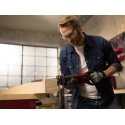 Einhell TE-AP 950 E 950 W Черный, Красный