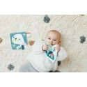 Miniland Sensoorne mänguasi - Krabisev lõvi merevärvides Miniland Sensoorne mänguasi - Krabisev lõvi merevärvides