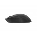 Conceptronic LORCAN04B hiiri Office Molempikätinen RF Wireless + Bluetooth Optinen 1600 DPI Conceptronic LORCAN04B hiiri Office Molempikätinen RF Wireless + Bluetooth Optinen 1600 DPI