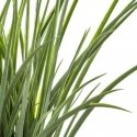 Atmosphera Artificial Grass in a Pot, 46 cm Atmosphera Artificial Grass in a Pot, 46 cm