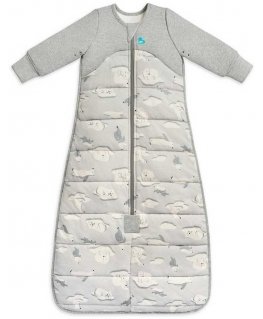 Love To Dream Sleeping Bag - 6-18 months - ball, teddy bear - STAGE 3 - 3.5 TOG
