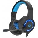 HP DHE-8011, headphones with microphone, volume control, black, 2.0, illuminated, 3.5 mm jack + USB HP DHE-8011, headphones with microphone, volume control, black, 2.0, illuminated, 3.5 mm jack + USB