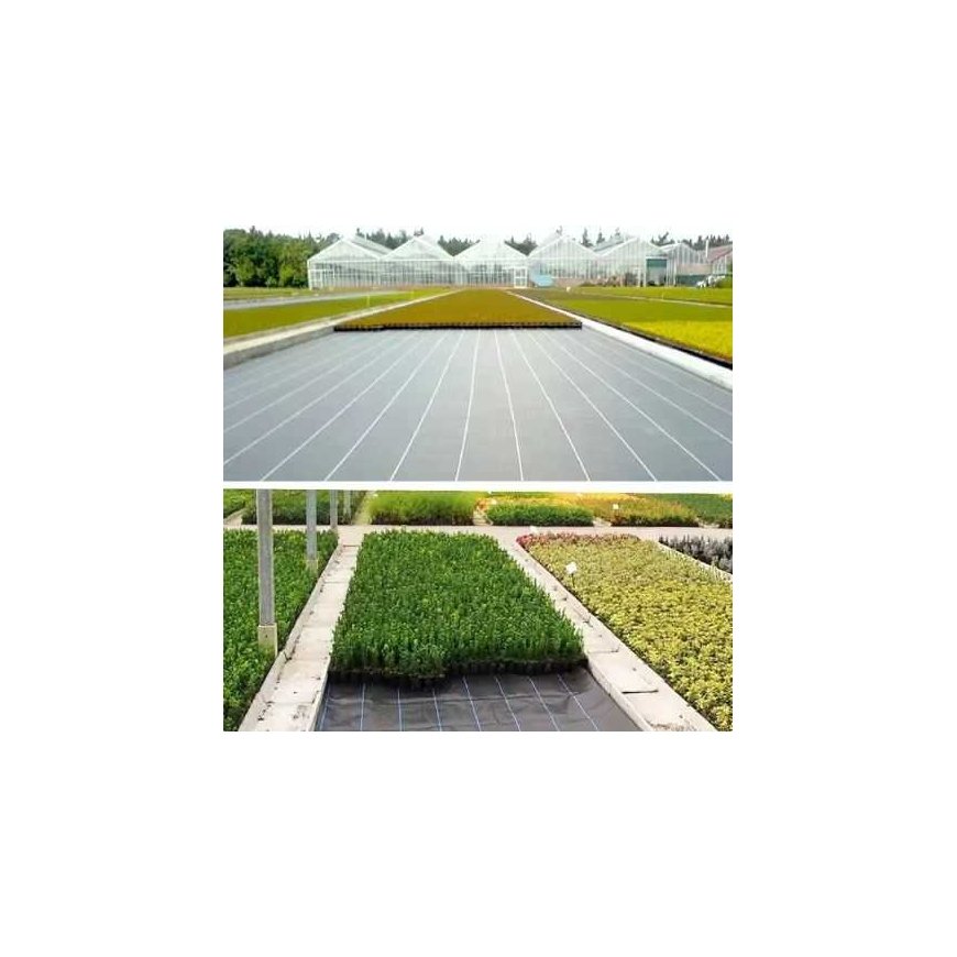 Primegarden Lean Trike Numatytasis pavadinimas – 2