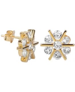 Golden earrings