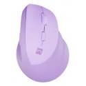 NATEC Crake 2 kompiuterio pelė Universalus Dešinės rankos RD belaidis ryšys + „Bluetooth“ Optinis 24 NATEC Crake 2 kompiuterio pelė Universalus Dešinės rankos RD belaidis ryšys + „Bluetooth“ Optinis 24