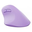 NATEC Crake 2 kompiuterio pelė Universalus Dešinės rankos RD belaidis ryšys + „Bluetooth“ Optinis 24 NATEC Crake 2 kompiuterio pelė Universalus Dešinės rankos RD belaidis ryšys + „Bluetooth“ Optinis 24