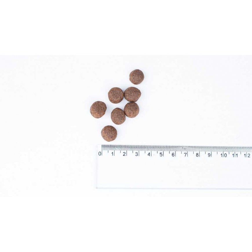 Bult sausas maistas su indykiem suaugusiems šunims 3kg – 2