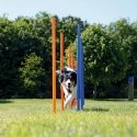 TRIXIE 3206 koera ja kassi agilityvarustus 12 tk Sinine, Oranž Koer Agilityvarustuse komplekt TRIXIE 3206 koera ja kassi agilityvarustus 12 tk Sinine, Oranž Koer Agilityvarustuse komplekt