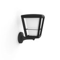 Philips Hue White and colour ambience Econic Outdoor Wall Light Philips Hue White and colour ambience Econic Outdoor Wall Light