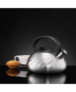 Induction kettle Arlo 2.3 l silver AMBITION