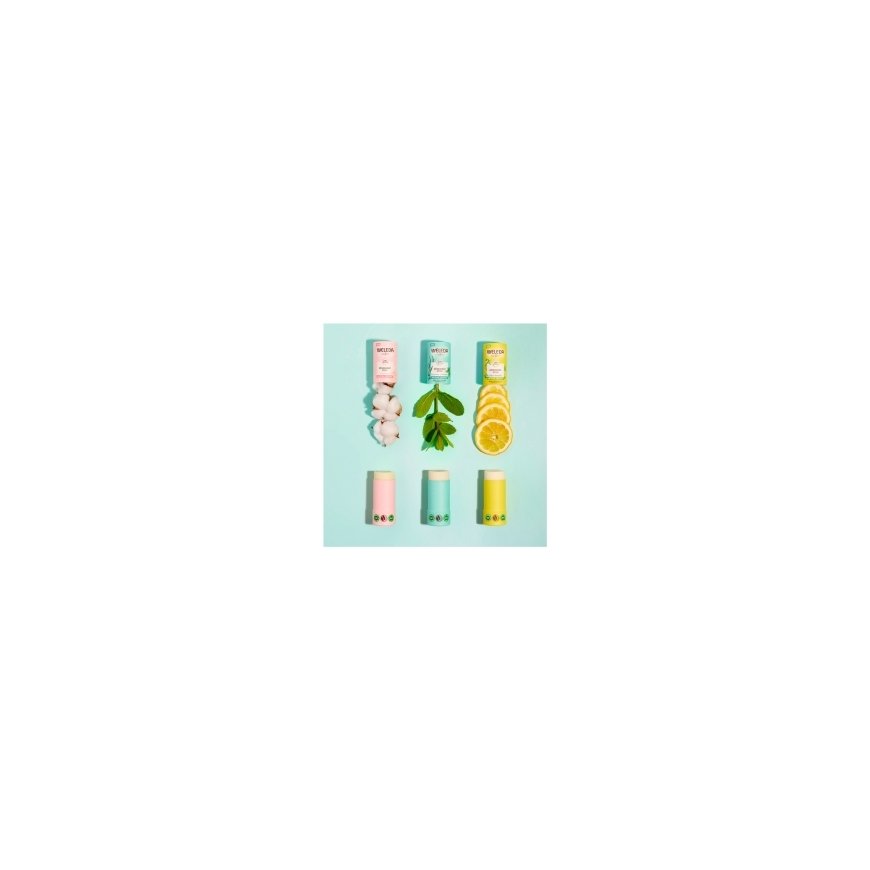 Дезодорант-стик Weleda CITRUS 50 г – 2