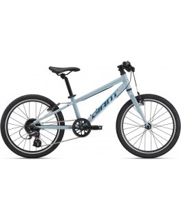 Children's bicycle Giant ARX 20 soap foam (2025)