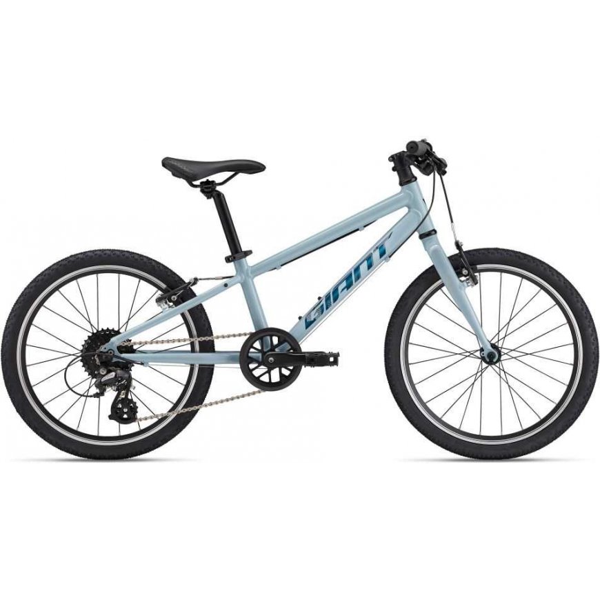 Giant Bērnu velosipēds Giant ARX 20