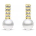Brilio Silver Unique gold-plated earrings with pearls and zircons EA941Y Brilio Silver Unique gold-plated earrings with pearls and zircons EA941Y