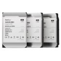 Synology HAS5300-8T cietā diska draiveris 8 TB 7200 RPM 256 MB 3.5" SAS Synology HAS5300-8T cietā diska draiveris 8 TB 7200 RPM 256 MB 3.5" SAS