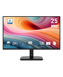 PRO MP251LDE E2 24.5" (62см) IPS 120Гц HDMI SI-Ware