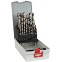 Bosch ‎2608587017 25 pc(s)