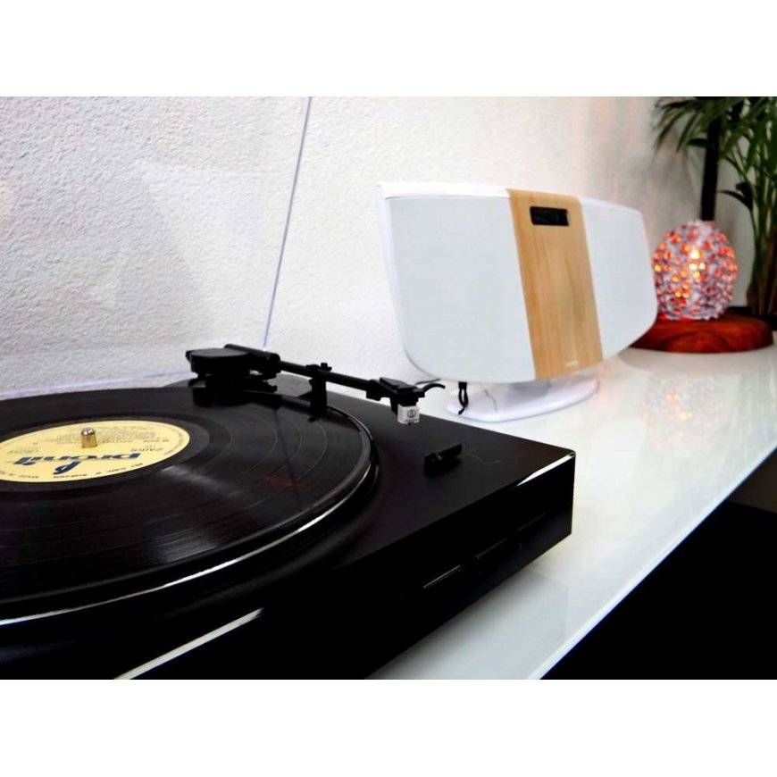 Rinkinys stereo / Digitālais mini mūzikas centrs ar gramofonu THOMSON TT350 & MIC401 – 2