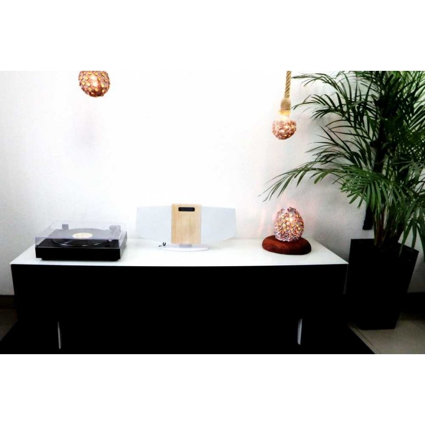 Rinkinys stereo / Digitālais mini mūzikas centrs ar gramofonu THOMSON TT350 & MIC401 – 3