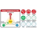 K's Kids Haridusmänguasi lapsele - Musitavad Kalad K's Kids Haridusmänguasi lapsele - Musitavad Kalad