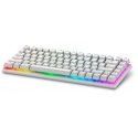 Alienware Pro Wireless Gaming Keyboard tastatūra Speļu USB + RF Wireless + Bluetooth Balts Alienware Pro Wireless Gaming Keyboard tastatūra Speļu USB + RF Wireless + Bluetooth Balts