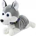 Lean Toys Interactive Plush Husky Dog with Sounds and Movement, 22x22x11 cm Lean Toys Interactive Plush Husky Dog with Sounds and Movement, 22x22x11 cm