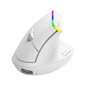 Delux M618DB mouse Office Right-hand RF Wireless + Bluetooth Optical 4000 DPI Delux M618DB mouse Office Right-hand RF Wireless + Bluetooth Optical 4000 DPI