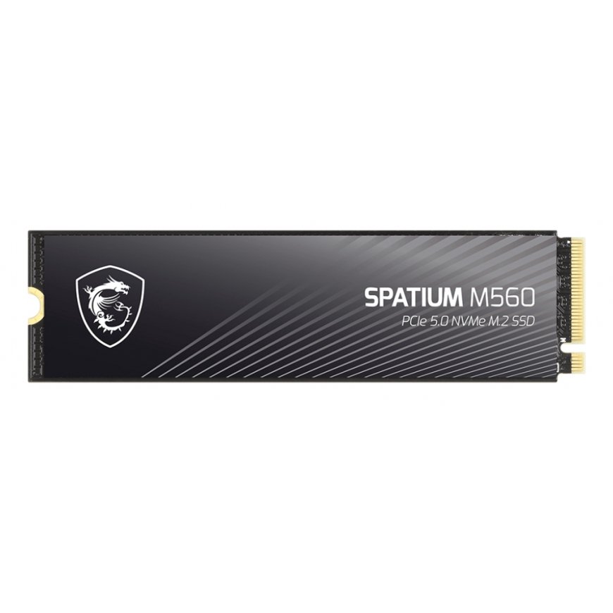 MSI Spatium M560 PCIE 5.0 NVME M.2 1TB PCI Express 5.0 3D NAND – 2