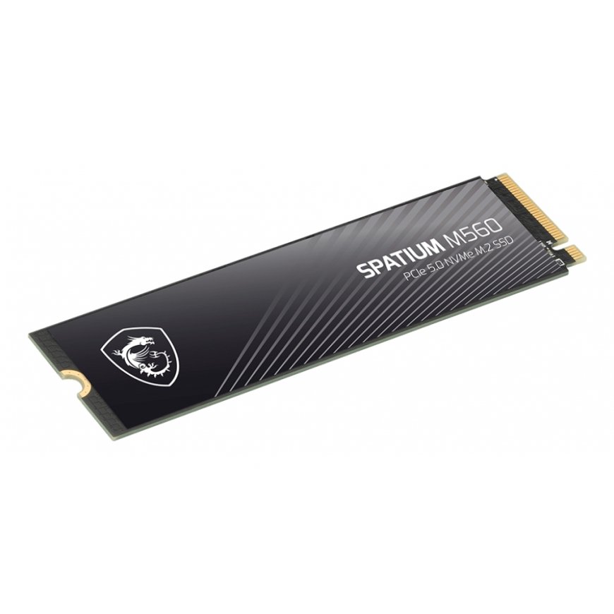 MSI Spatium M560 PCIE 5.0 NVME M.2 1TB PCI Express 5.0 3D NAND – 3