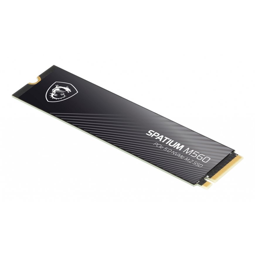 MSI Spatium M560 PCIE 5.0 NVME M.2 1TB PCI Express 5.0 3D NAND – 4