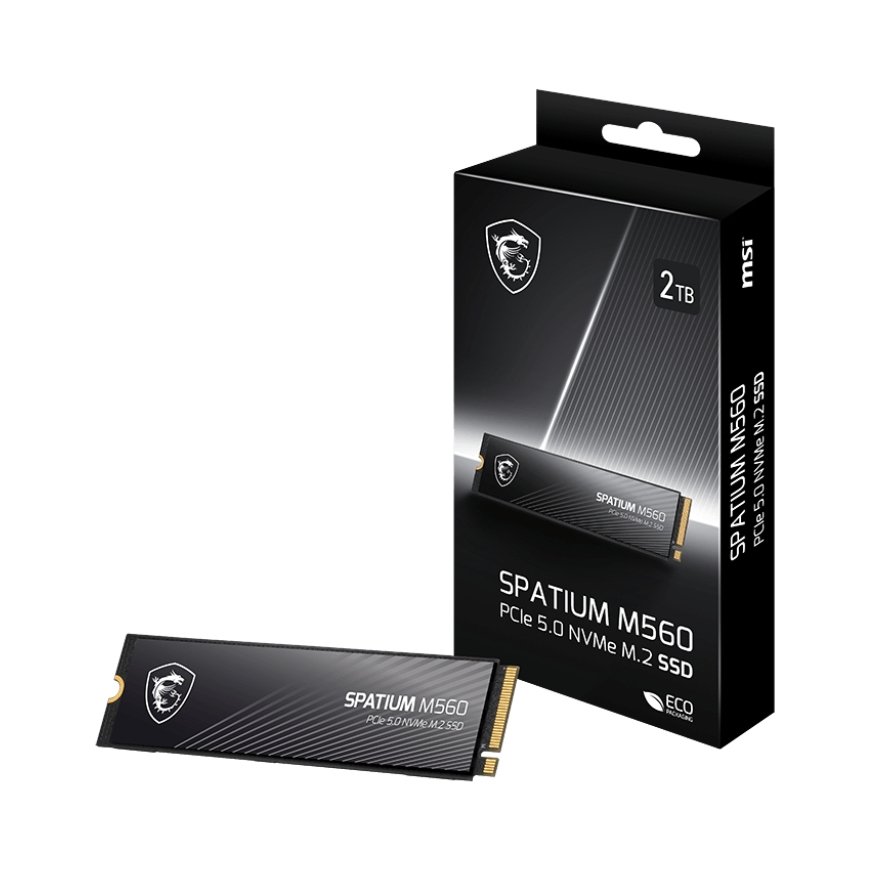 MSI Spatium M560 PCIE 5.0 NVME M.2 1TB PCI Express 5.0 3D NAND – 5