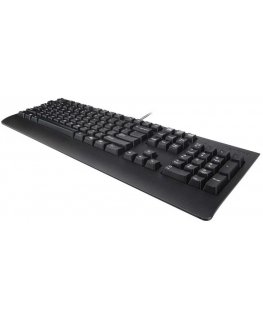 LENOVO PREFERRED II PRO Keyboard with USB connection NORDIC (COPILOT)