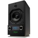 McIntosh RS150 garso kolonėlė McIntosh RS150 garso kolonėlė