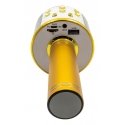 Denver KMS-20GOMK2 microphone Gold Karaoke microphone Denver KMS-20GOMK2 microphone Gold Karaoke microphone
