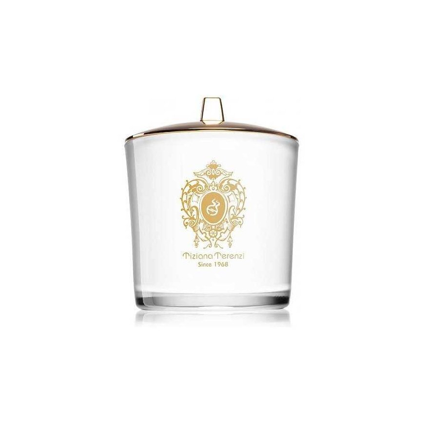 Tiziana Terenzi Vele lõhnaküünal 170 g – 2