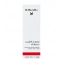 Dr. Hauschka regeneruojantis serumas 30 ml Dr. Hauschka regeneruojantis serumas 30 ml