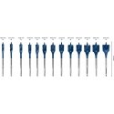 Bosch 2 608 900 336 puuritera Lapik puidupuur 13 tk Bosch 2 608 900 336 puuritera Lapik puidupuur 13 tk