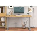 Digitus Electrically Height-Adjustable Table Frame, dual motor, 3 levels, gray