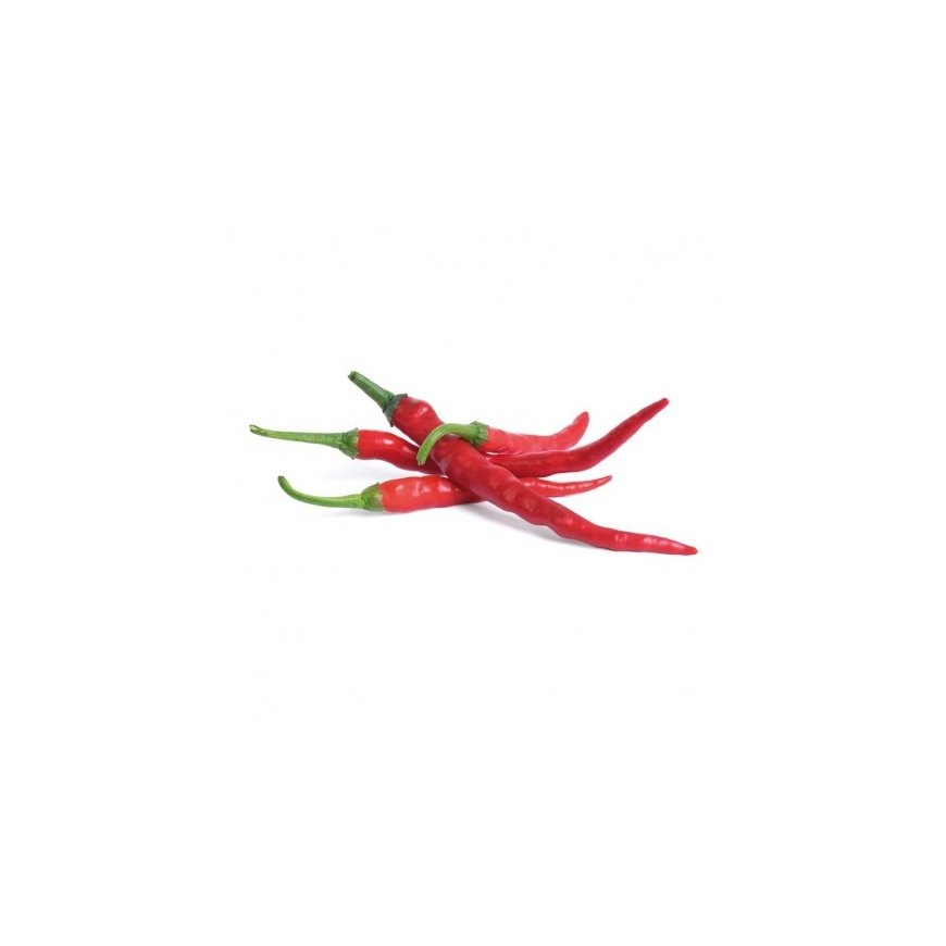 Véritable 3760262511207 growing kit/refill Chili pepper – 2