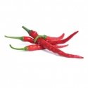 Véritable 3760262511207 growing kit/refill Chili pepper Véritable 3760262511207 growing kit/refill Chili pepper