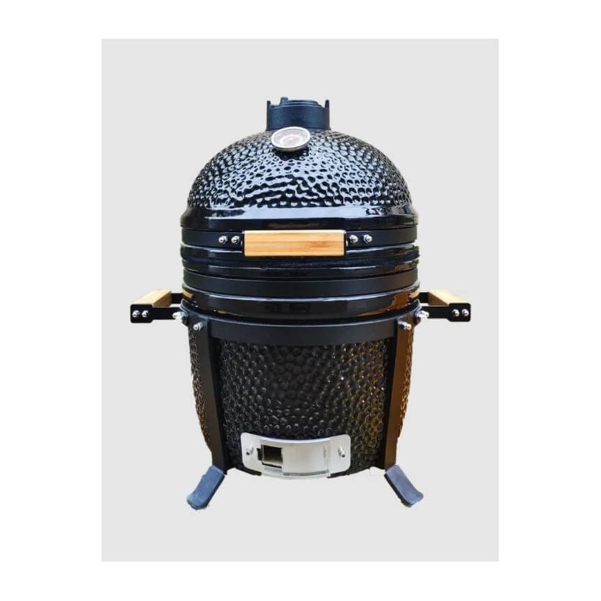 Proflame Expert Mini