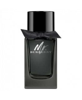 Tester Burberry Mr. Burberry EDP 100ml